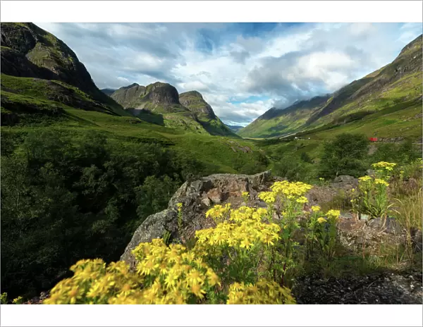 Glencoe Highland, Scotland