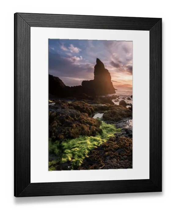 Framed Print : Green seaweed at Talisker Beach, Isle of Skye Framed Print : Green seaweed at Talisker Beach, Isle of Skye