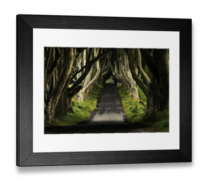 Framed Print : The Dark Hedges, Northern Ireland Framed Print : The Dark Hedges, Northern Ireland