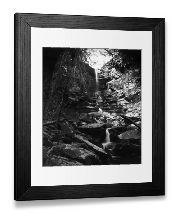 Framed Print : Sketching Nature Framed Print : Sketching Nature
