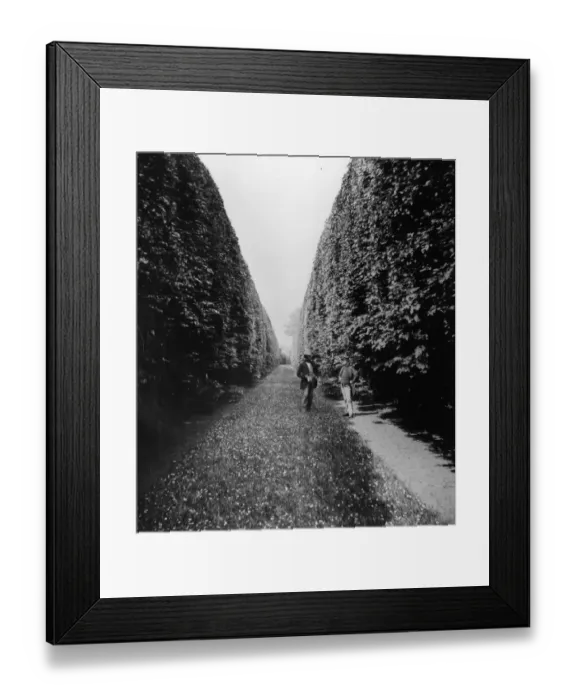 Framed Print : Howth Gardens Framed Print : Howth Gardens