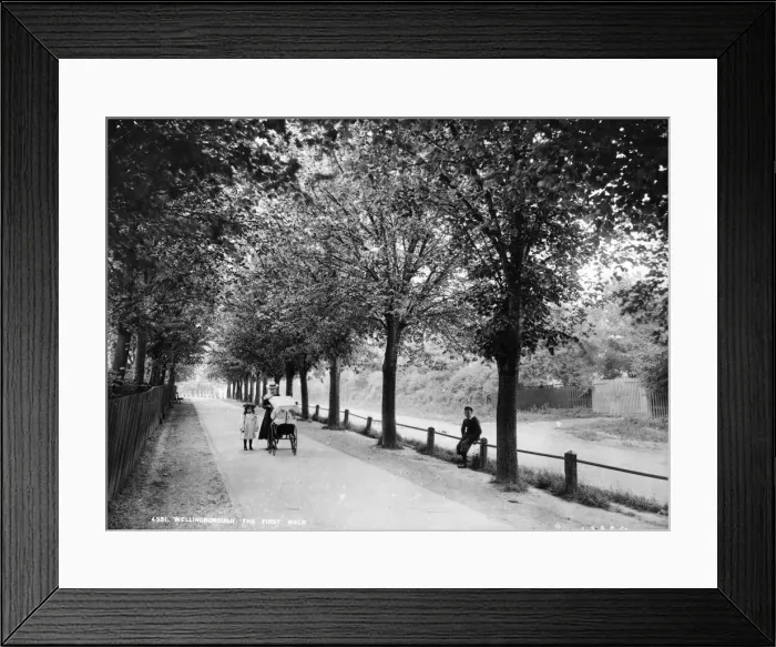 Framed Print : The First Walk
