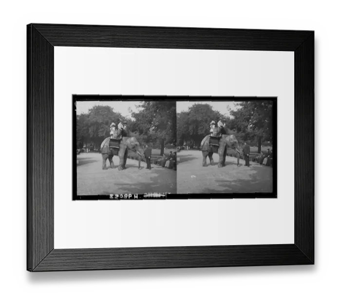 Framed Print : Elephant RIde Framed Print : Elephant RIde