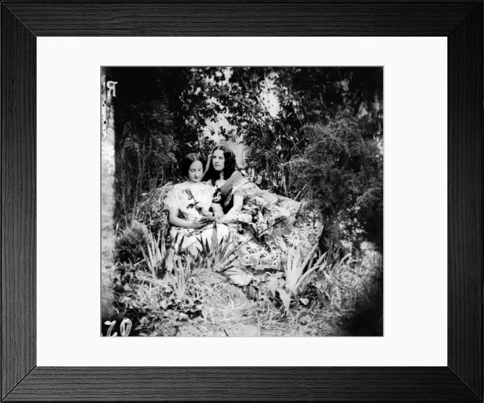 Framed Print : Nestling Friends Framed Print : Nestling Friends