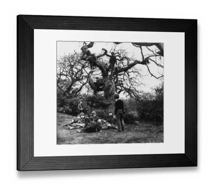 Framed Print : Boys In The Wood Framed Print : Boys In The Wood