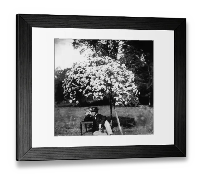 Framed Print : Spring Blossoms Framed Print : Spring Blossoms