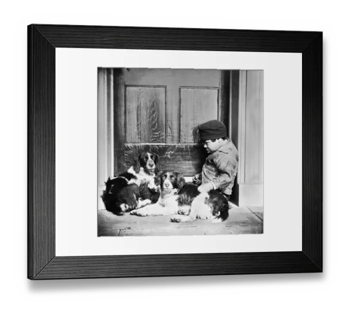 Framed Print : Boys Best Friends Framed Print : Boys Best Friends