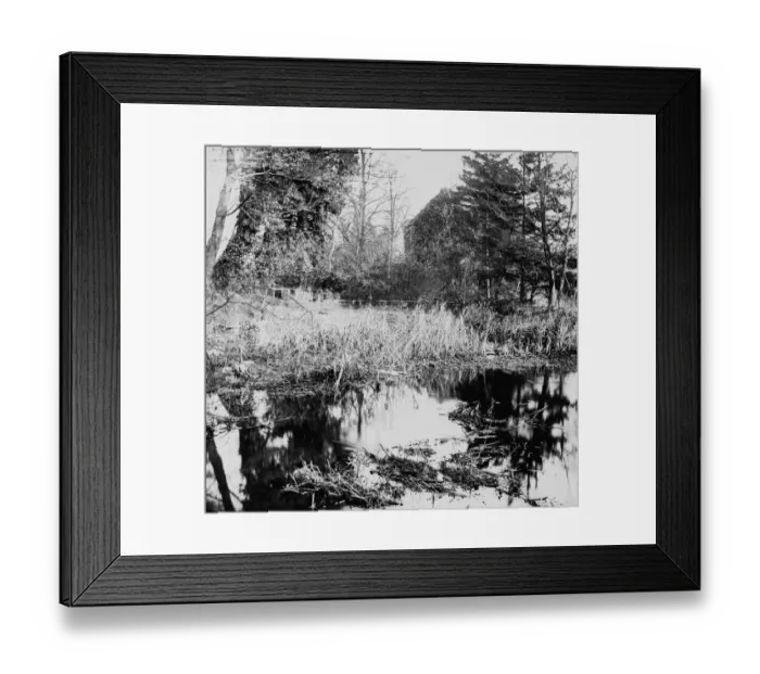 Framed Print : Still Waters Framed Print : Still Waters
