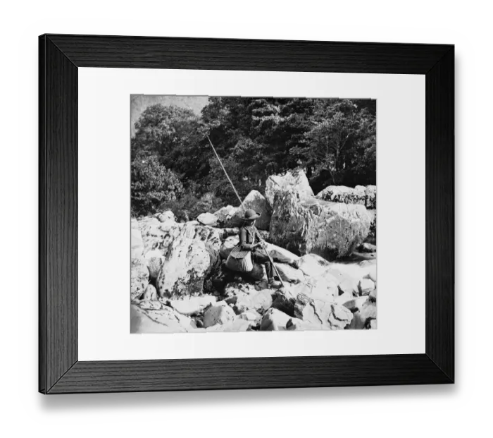 Framed Print : Pole Fishing Framed Print : Pole Fishing