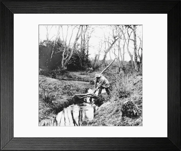 Framed Print : Country Stream Framed Print : Country Stream