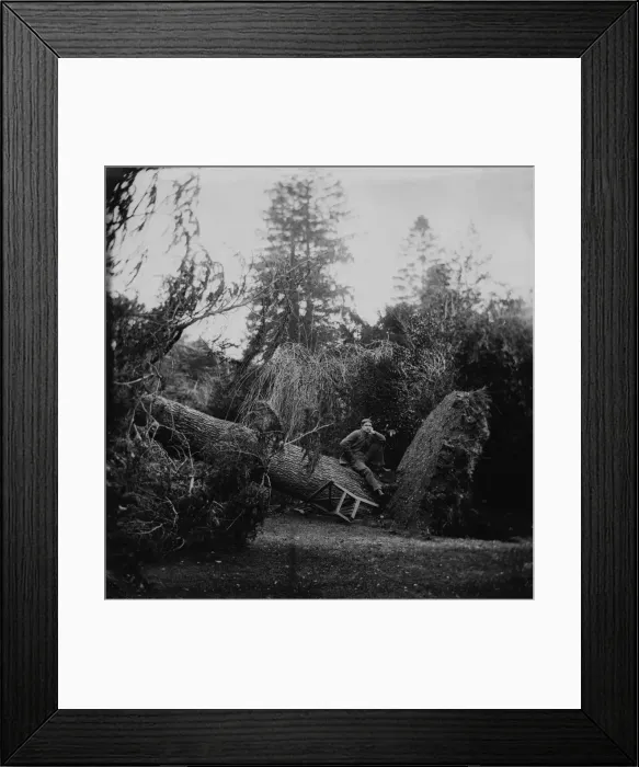 Framed Print : After The Storm Framed Print : After The Storm