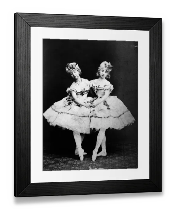 Framed Print : Dancing Duo Framed Print : Dancing Duo