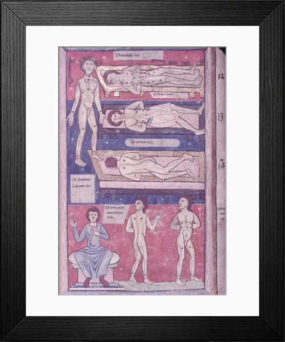 Framed Print : Scientific Manuscript Framed Print : Scientific Manuscript