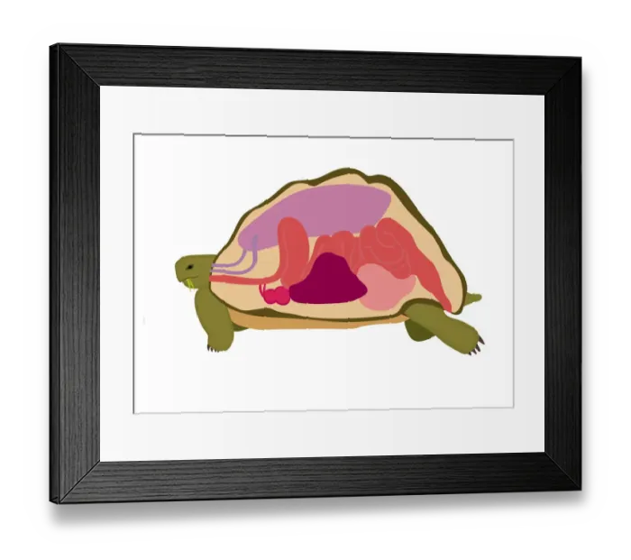 Framed Print : Dorling Kindersley Prints, 933037808