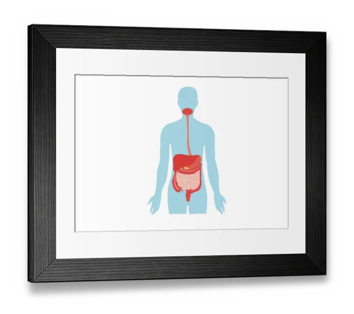 Framed Print : Dorling Kindersley Prints, 933037806 Framed Print : Dorling Kindersley Prints, 933037806