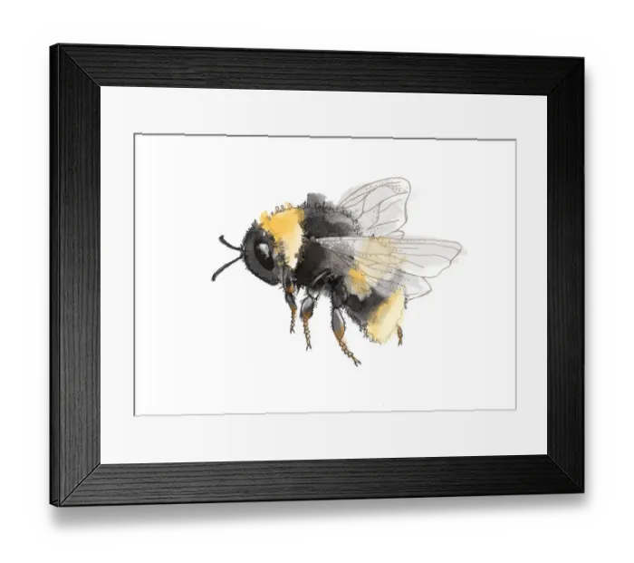 Framed Print : Dorling Kindersley Collection