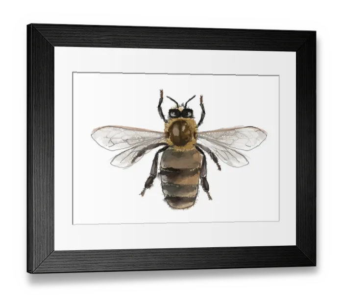 Framed Print : Dorling Kindersley Collection Framed Print : Dorling Kindersley Collection