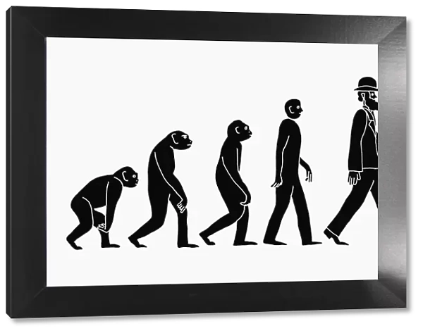 adults, homo habilis, homo sapiens sapiens, human evolution, plain background