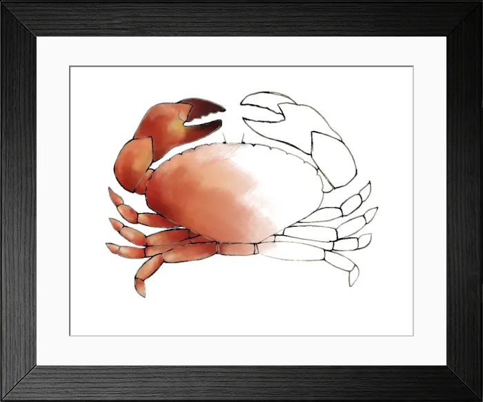 Framed Print : colour, nobody, plain background
