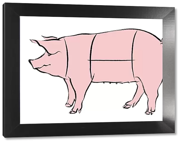 butchery, colour, cut, cutting, illustration, making, meat, nobody, peach coloured