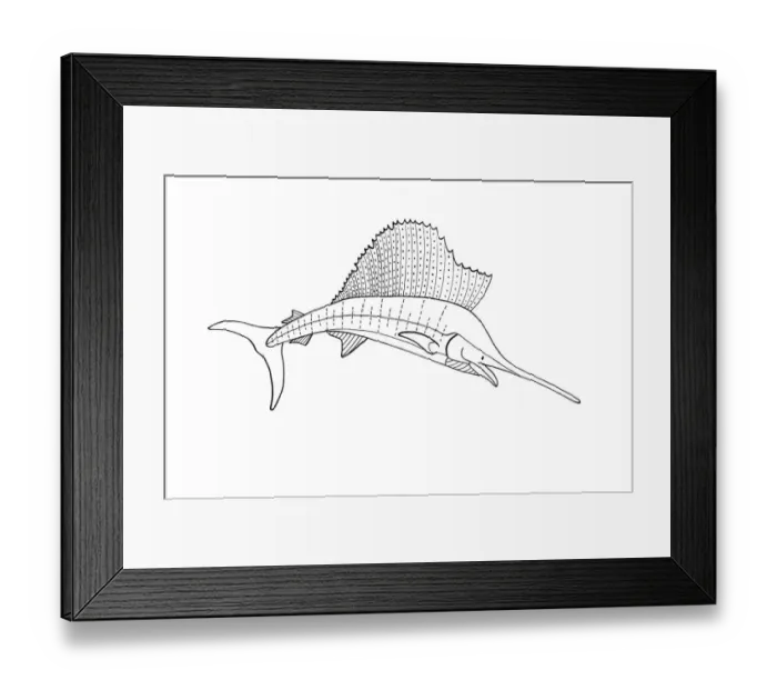 Framed Print : animal themes, black and white, fish, illustration, nobody, one animal, plain background Framed Print : animal themes, black and white, fish, illustration, nobody, one animal, plain background