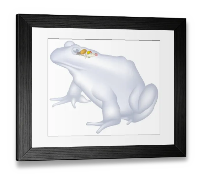 Framed Print : Dorling Kindersley Collection Framed Print : Dorling Kindersley Collection