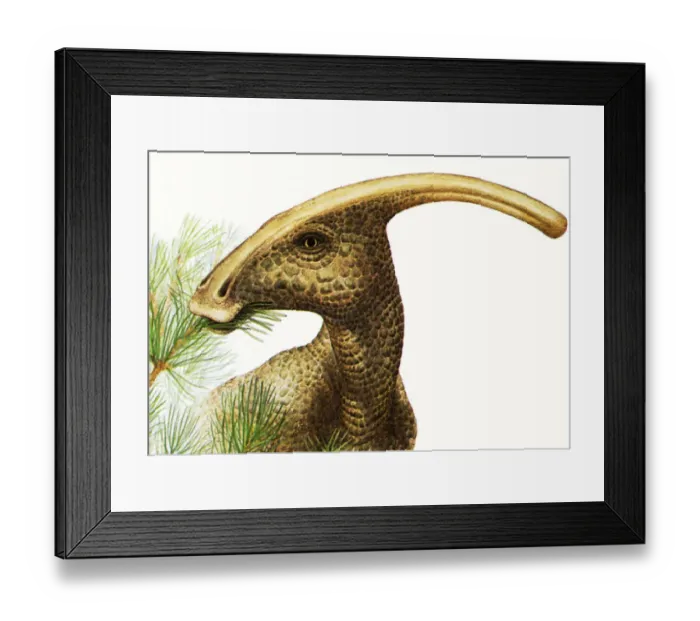 Framed Print : herbivore, cretaceous, nobody, close-up, cut out, horizontal, watercolour painting Framed Print : herbivore, cretaceous, nobody, close-up, cut out, horizontal, watercolour painting
