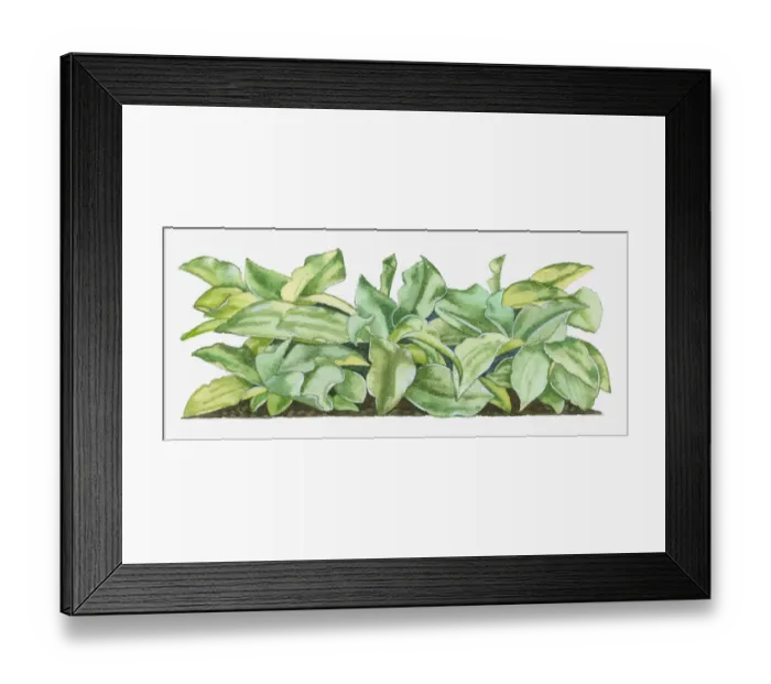 Framed Print : Dorling Kindersley Collection Framed Print : Dorling Kindersley Collection