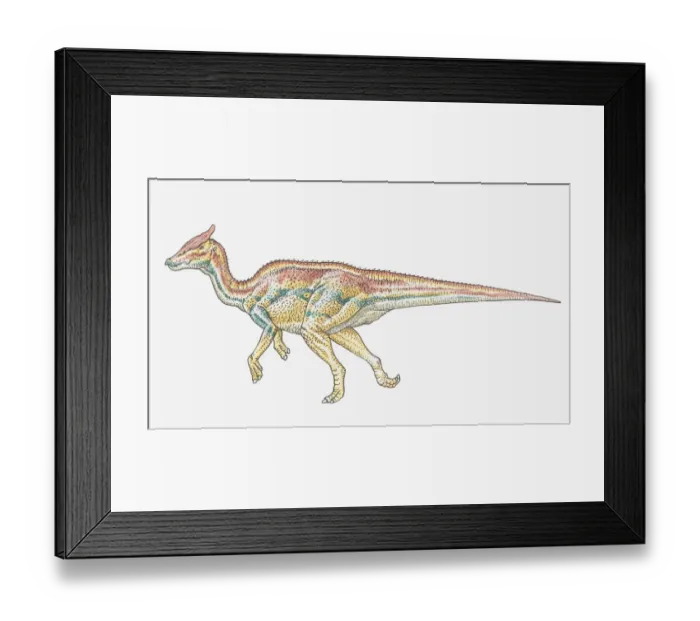 Framed Print : Dorling Kindersley Collection Framed Print : Dorling Kindersley Collection