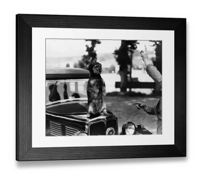 Framed Print : Bonnet Trick Framed Print : Bonnet Trick