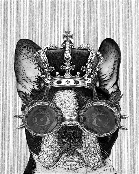 Hipster Boston Terrier Dog With Crown And Steampunk Goggles