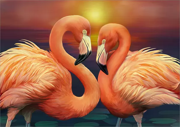 Illustration of Flamingos