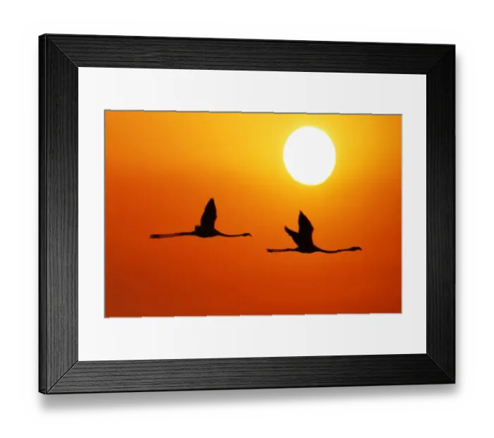 Framed Print : Background for due Framed Print : Background for due