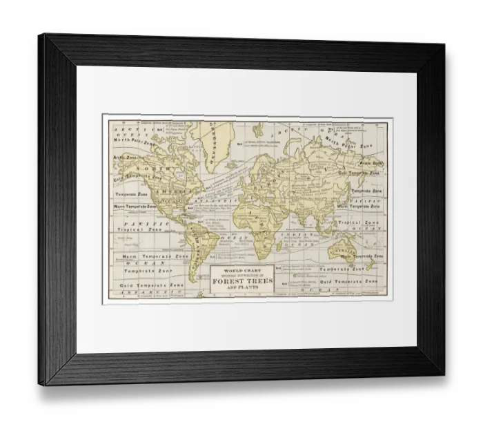 Framed Print : Forest trees and plants chart 1889 Framed Print : Forest trees and plants chart 1889