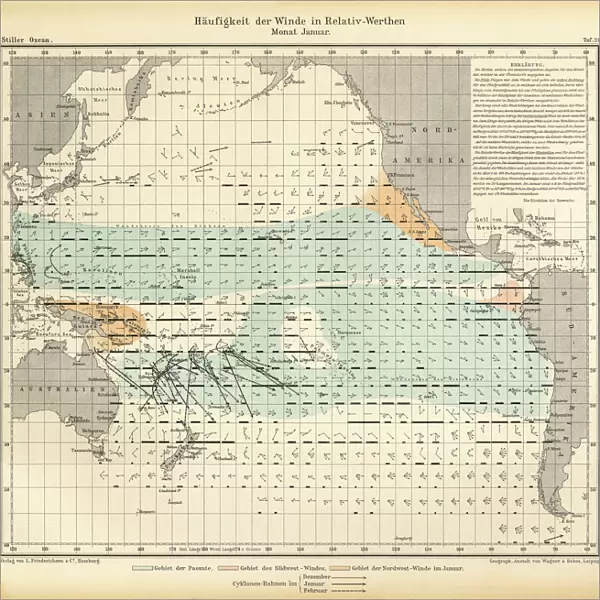 January Frequency of Winds in Relative Values Chart, Pacific Ocean, German Antique Victorian Engraving, 1896
