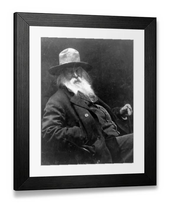 Framed Print : Walt Whitman Framed Print : Walt Whitman