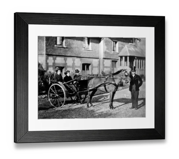 Framed Print : Pony And Trap
