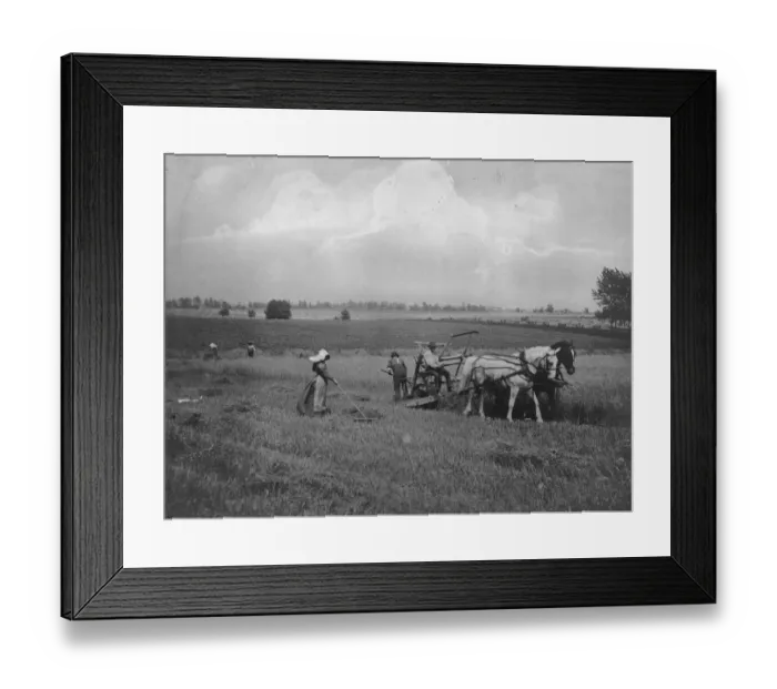 Framed Print : McCormick Reaper