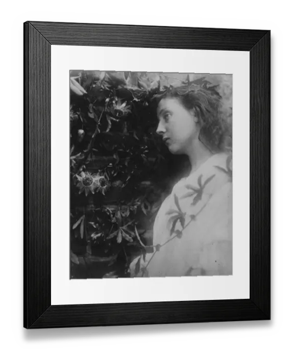 Framed Print : Tennysons Maud Framed Print : Tennysons Maud