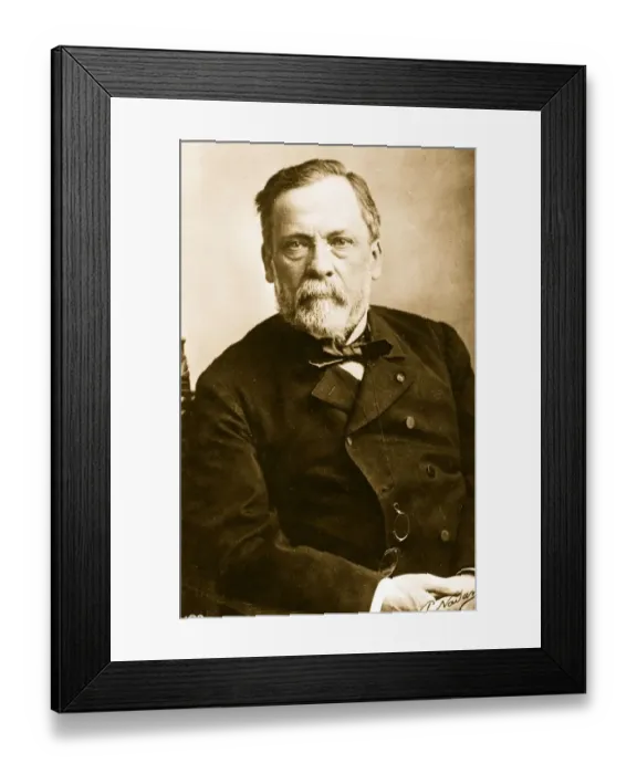 Framed Print : Louis Pasteur Framed Print : Louis Pasteur