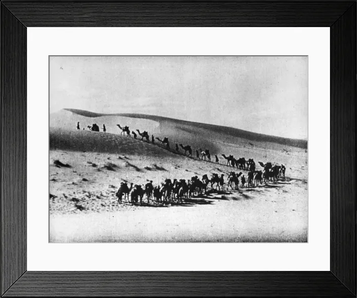 Framed Print : Desert Journey Framed Print : Desert Journey