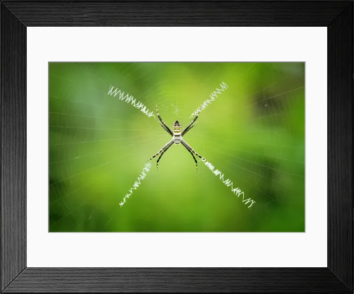 Framed Print : X-Composition Framed Print : X-Composition