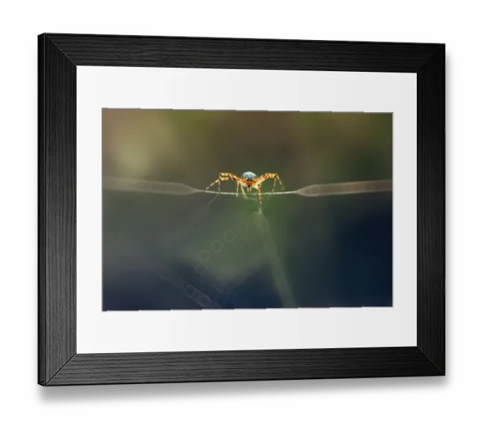 Framed Print : The Challenger Framed Print : The Challenger