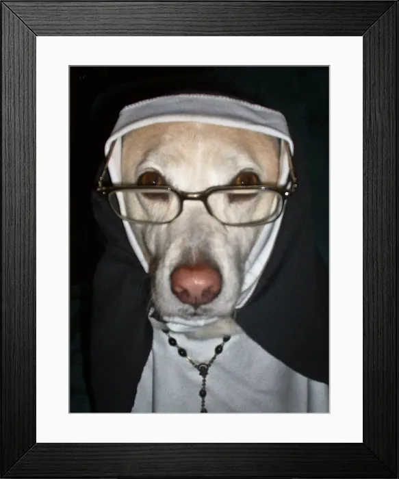 Framed Print : Hills are alive with Sound of Barking Framed Print : Hills are alive with Sound of Barking