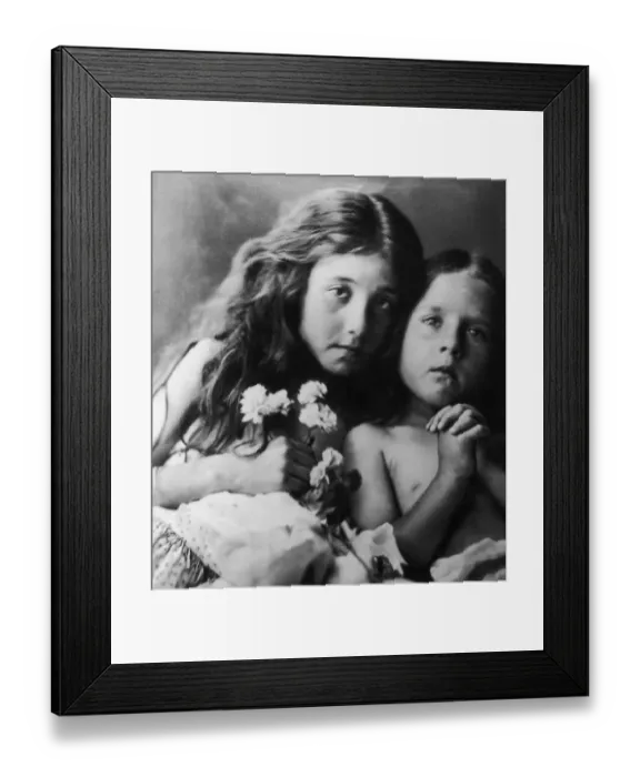 Framed Print : Red And White Roses Framed Print : Red And White Roses