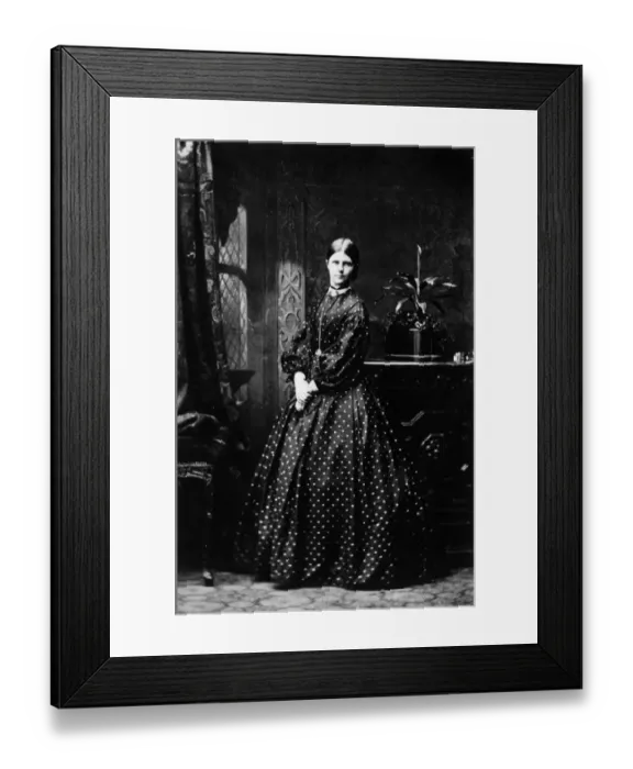 Framed Print : Victorian Dress Framed Print : Victorian Dress