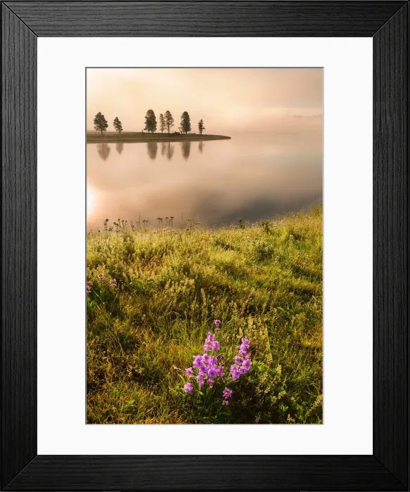 Framed Print : Foggy morning