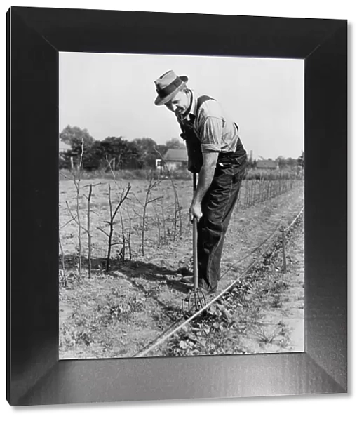Farmer tilling soil on farm