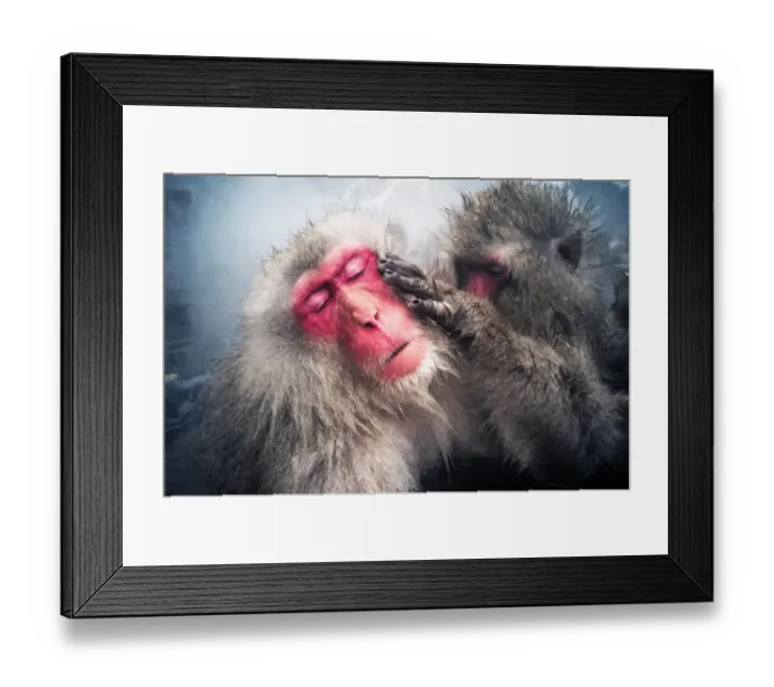 Framed Print : Super Angulon 21mm f3. 4