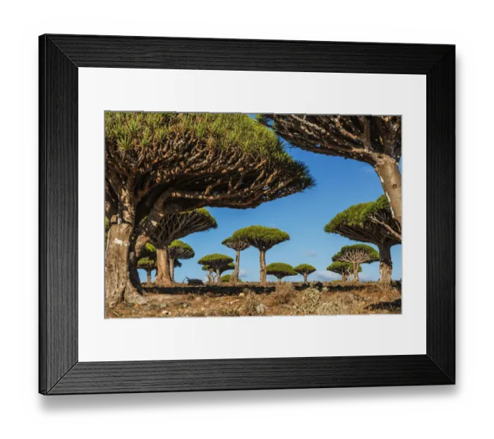 Framed Print : beauty in nature, blood, blue sky, calm, clear sky, color image, copy space, day